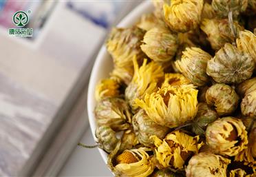 挑选胎菊，这几点需要格外注意 - 代用茶代工