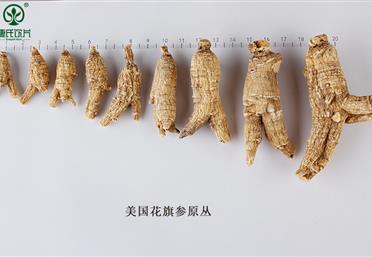 西洋参规格分类大全，这么分简单又好记-康氏中药饮片代工定制OEM-西洋参礼品定制